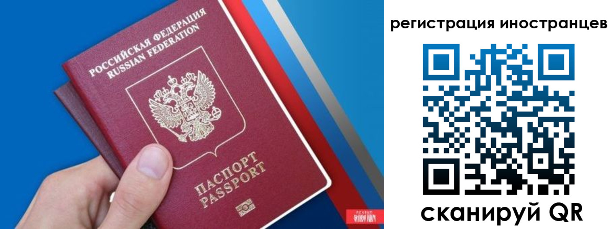 прописка 2025 в Дубне